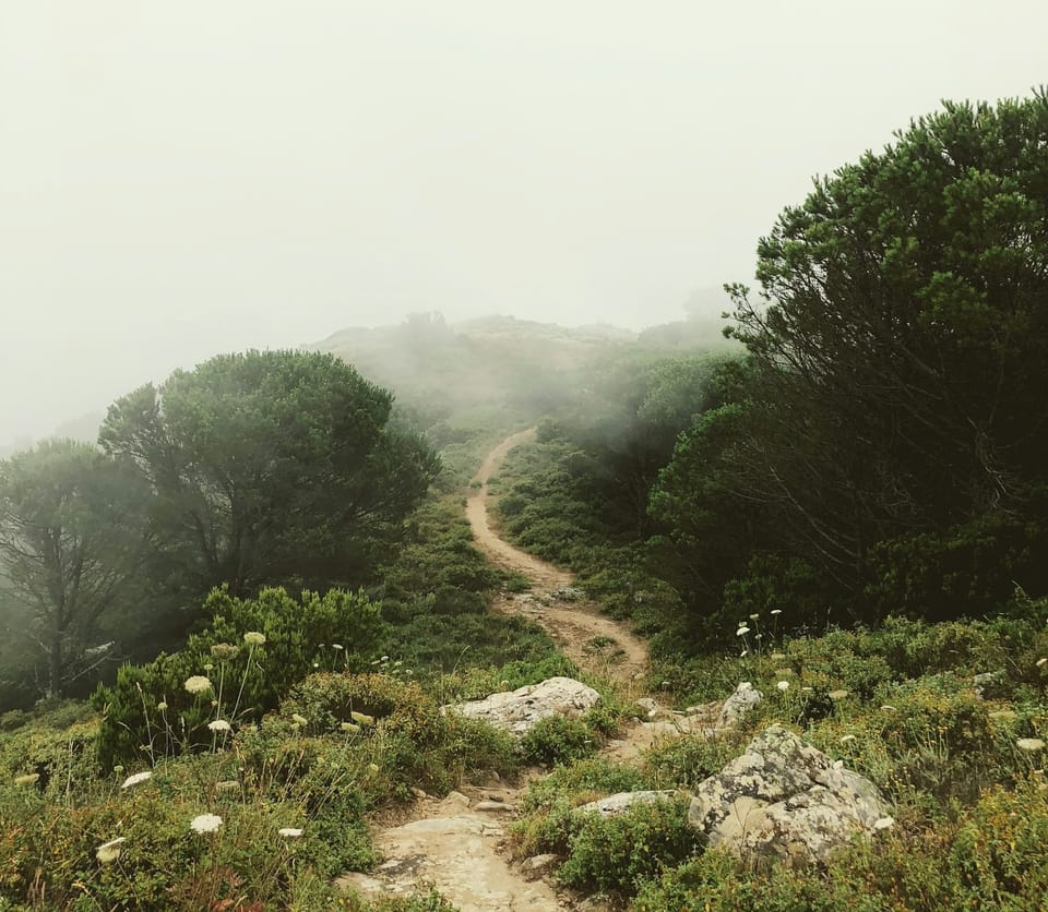Follow the Path, An Ostensible Interloper, A Legal Cold Shower, Subscriber Stampede, The French Connection, and Cross Border Co-operation. It's CISO Intelligence for Wednesday 19th March 2025.