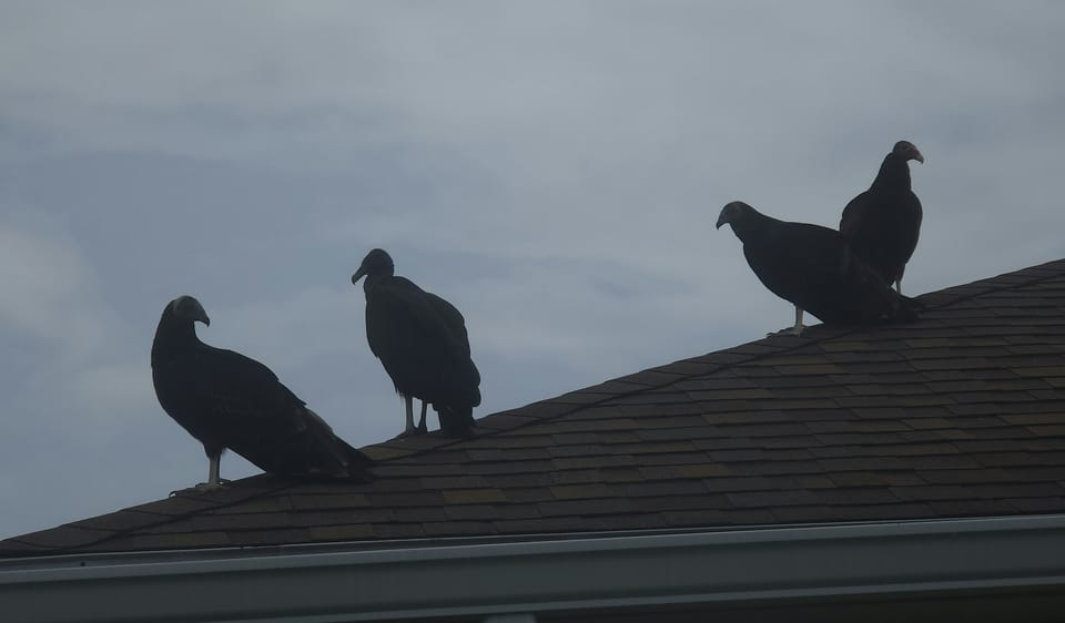 Alliances are Reshaping the Landscape, Security is Never Static, The Gap That Needs  A Bridge, Good News: The Crypto Chain is Breaking, Crossing Ethical Lines, and LOLs No More. It's CISO Intelligence for Wednesday, 5th November 2025.